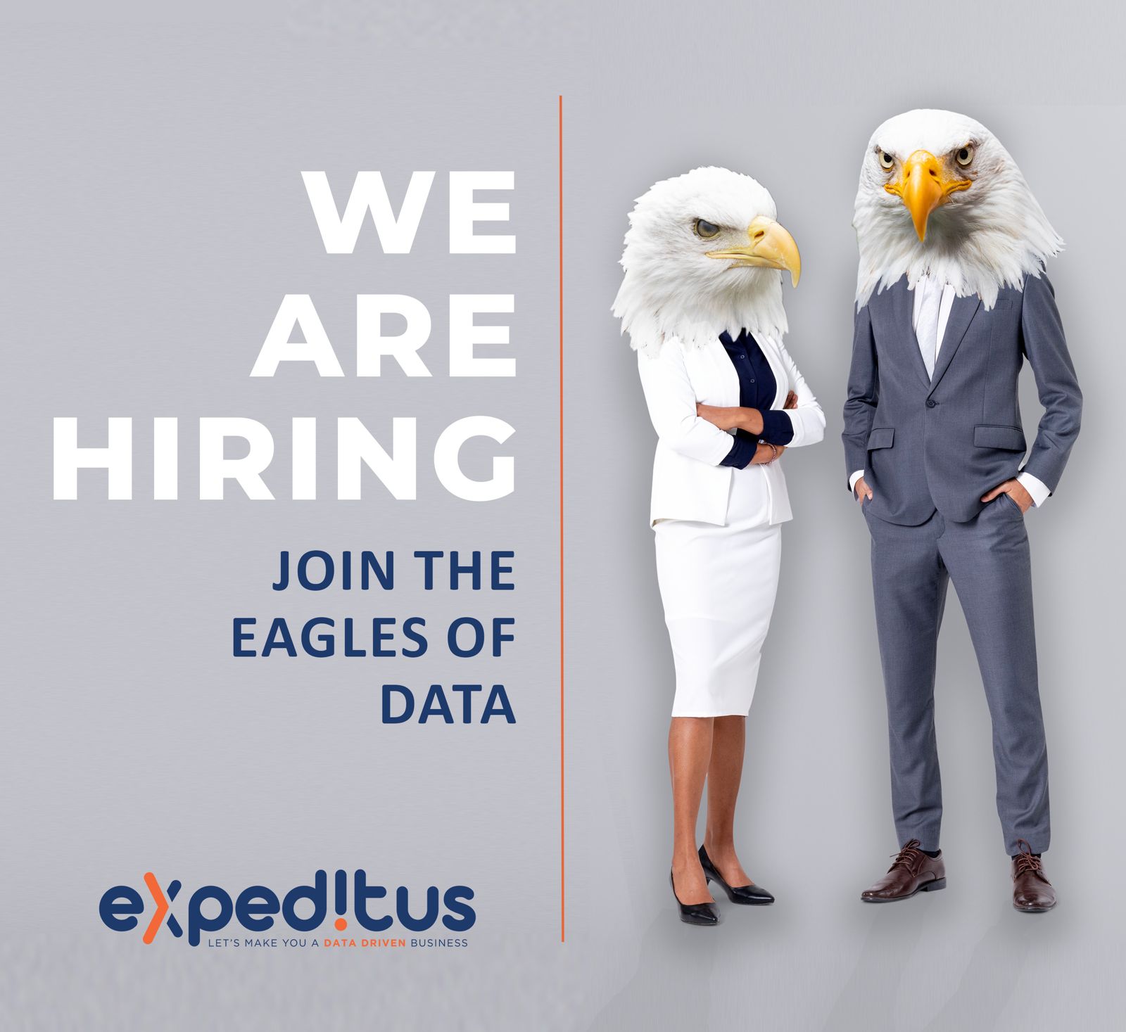 Expeditus Business Intelligence Internship 2025 in Bryanston